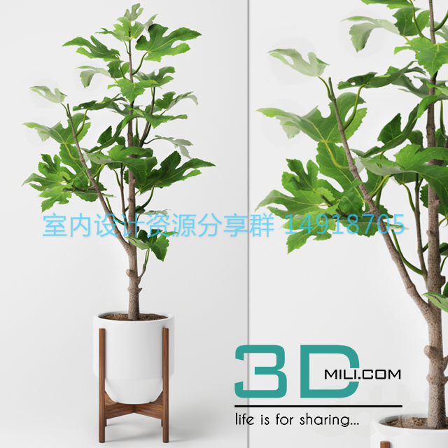 52 Pot Plant 3d Models 3dmili 2020 Download 3d Model Free 3d