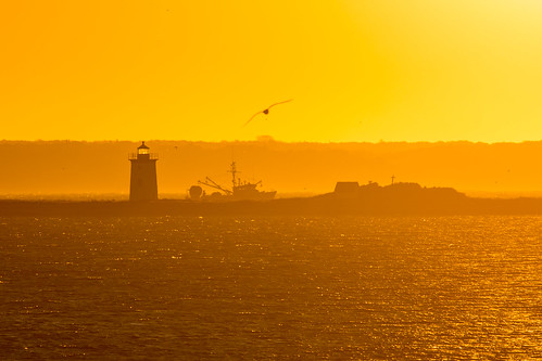 capecod massachusetts provincetown ptown theredinn sunrise lighthouse longpointlight fishingboat boat bird seagull yellow orange cross trawler