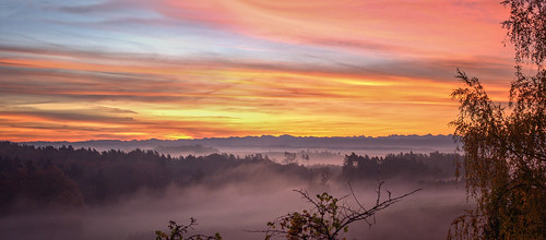 sonnenaufgang herbst autumn sunrise fog bodensee lakeconstance sky landscape