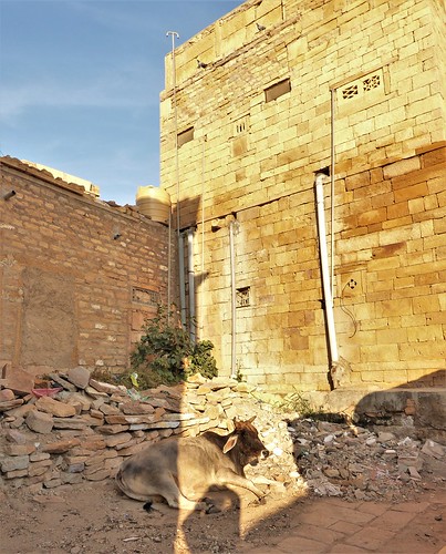 jaisalmer-in muros (22)