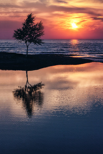 lakesuperior lake reflection silhouette sky sunlight sunset tree