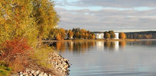 sweden täby viggbyholm autumn water värtan tree bokage