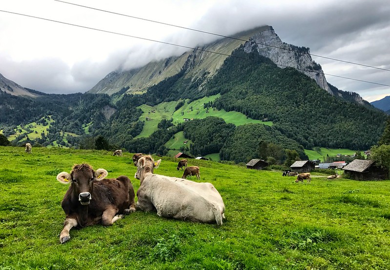 Vorarlberg, Austria 2017 1