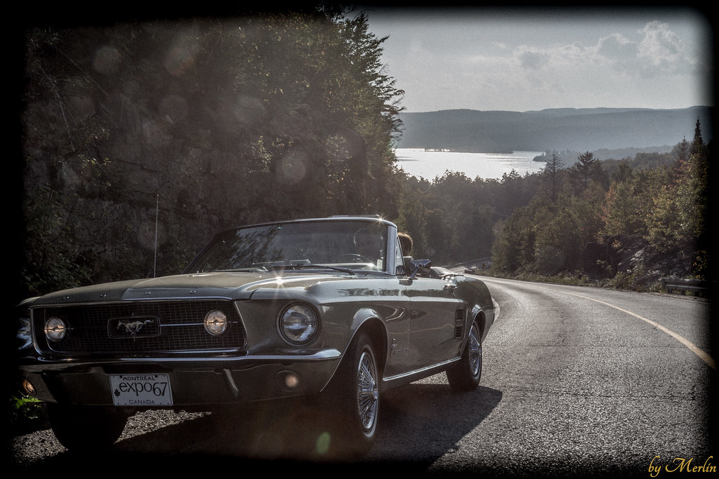 Ma Mustang 1967, 200ci - Page 5 37660774431_6619fcb21c_b