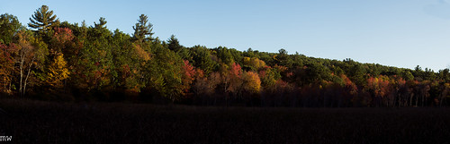 foliage autumn panorama fall newengland massachusetts trees colors 70200mm