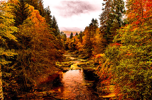 autumn season scotland highland rivergarry trees pentax