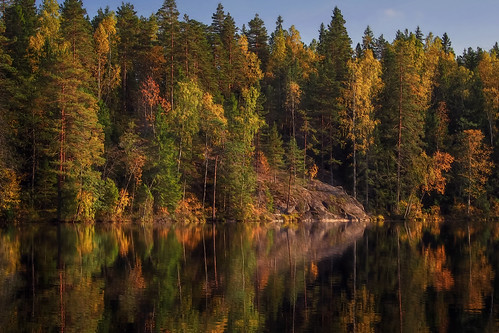 forest autumn color colors colorful tree trees light leaves landscape pine birch yellow orange green pond rocks reflection luukki espoo finland peaceful