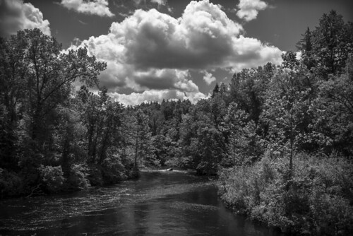 ciel water river reflections trees arbres foret forest clouds storm stormy light bn nb bw noiretblanc blancoynegro blackandwhite lumix panasonic gx7 micro43 mirrorlesscamera vermont arlington newengland mood atmosphere eau riviere reflets nuages orage orageux lumiere ambiance landscape paysage monochrome outdoor nature