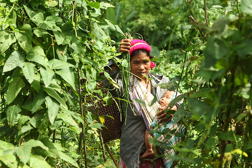 Sinley Mro, 29, at her vegetable garden in Kramadi Para, Suwalok Union, Bandarban Sadar, Bandarban, October 2017.