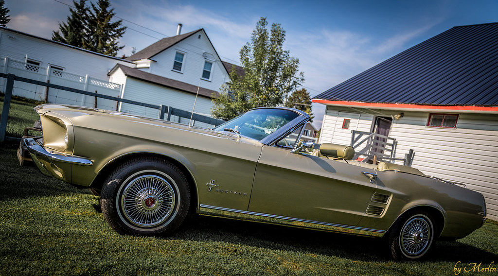 Ma Mustang 1967, 200ci - Page 5 36989327983_8010a52298_b