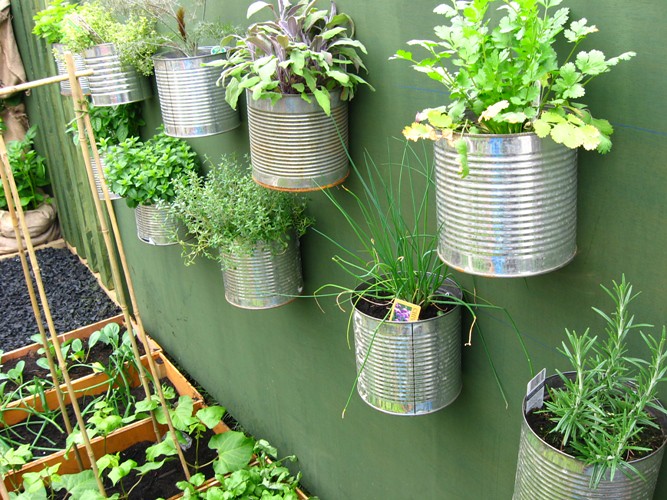 Small space gardening
