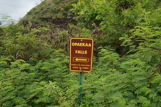 329 Opaekaa Falls