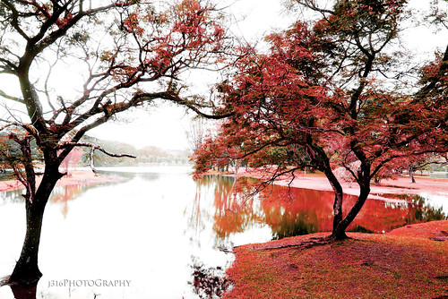deception red fall autumn saturation j316 taiping cheating a77 sony wet water lake reflection