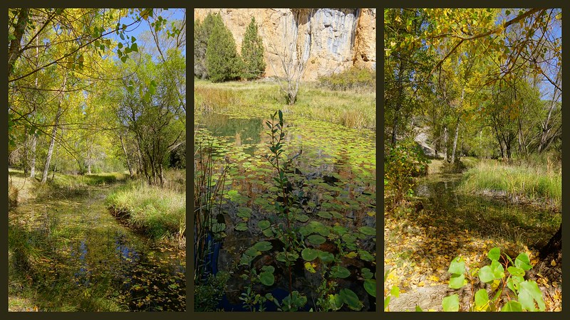 Senderismo por España. Mis rutas favoritas: emblemáticas, paseos y caminatas - Blogs de España - Ruta del Cañón del Río Lobos (Soria/Burgos). (30)