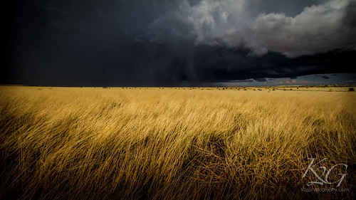 clouds flagstaff indianruins landscape portfolio sunsetcrater wupatkinationalmonument grasslands rain stormy