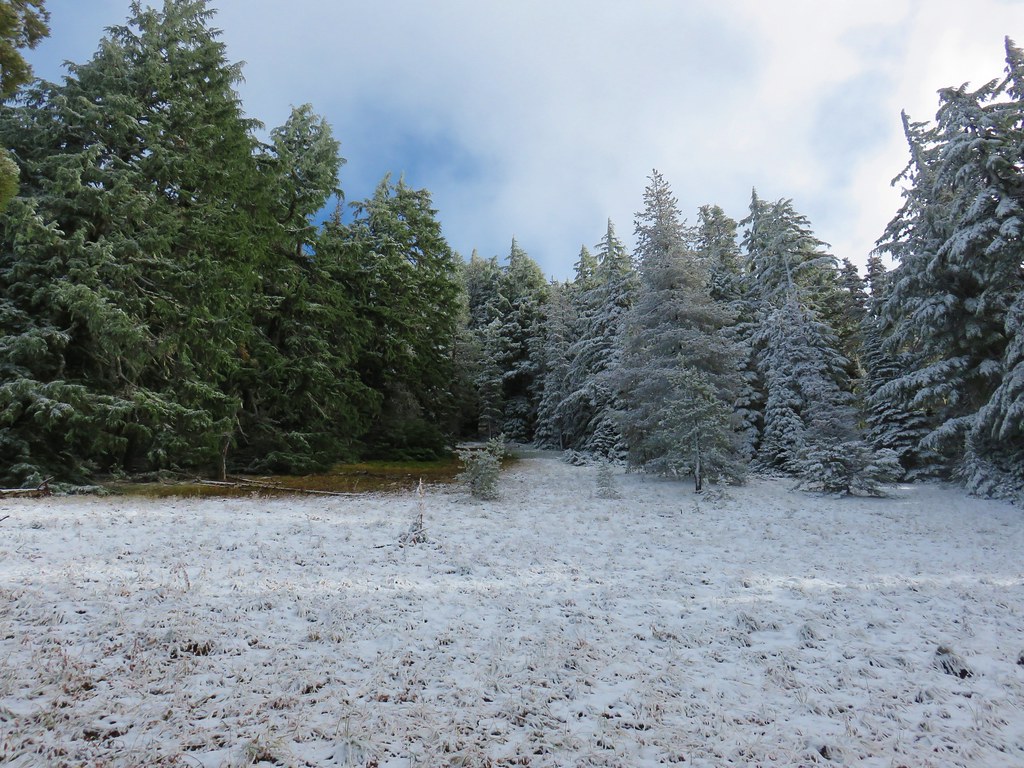 Snow melting along the Senoj Lake Trail