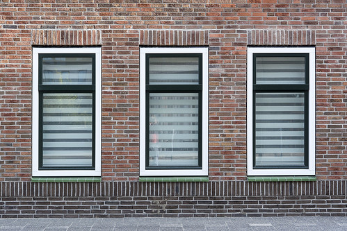 Three windows with green windowsills
