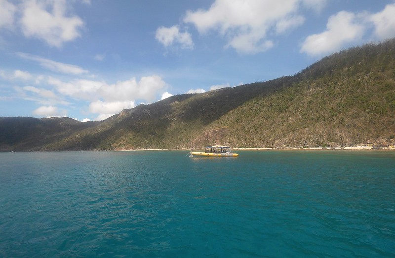 Airlie Beach y las paradisíacas Whitsunday Islands - AUSTRALIA POR LIBRE: EL PAÍS DEL FIN DEL MUNDO (19)