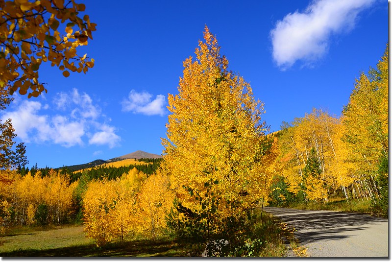 Fall colors, Mount Evans Scenic Byway, Colorado (18)