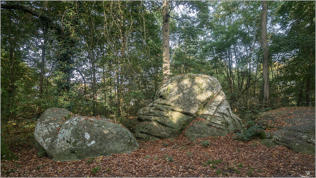 Rochers Gréau à St Pierre les Nemours 37751276431_0d6c80b267_b