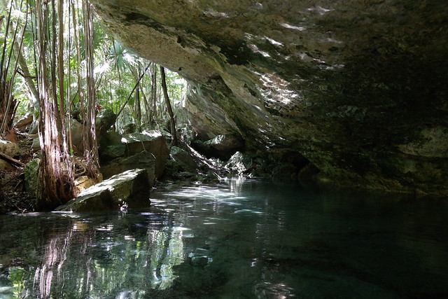 De playas, cenotes y ruinas mayas de rebote - Blogs of Mexico - CENOTES DE KANTUN CHI (5)