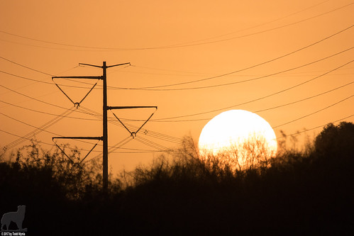 sunrise sun powerlines