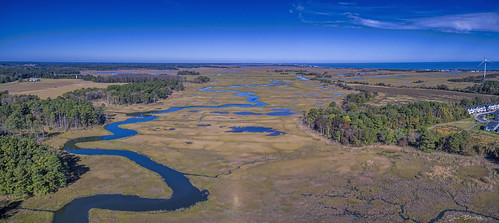greatmarsh lewes wetlands delaware dji aerial