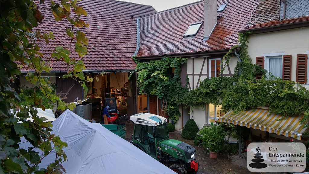 Winzerhotel und Weingut Storr in Dautenheim