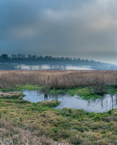 england uk unitedkingdom rural lincolnshire water landscape sky pond nature plants