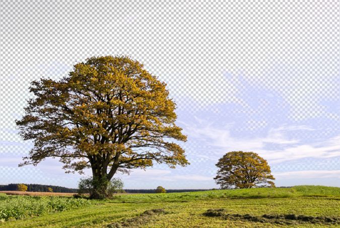 Hướng dẫn xóa nền đơn giản bằng Background Eraser trong Photoshop