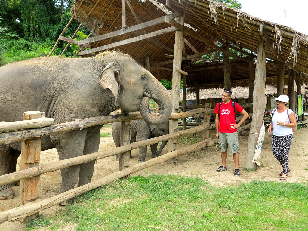 Centro de conservación de Elefantes