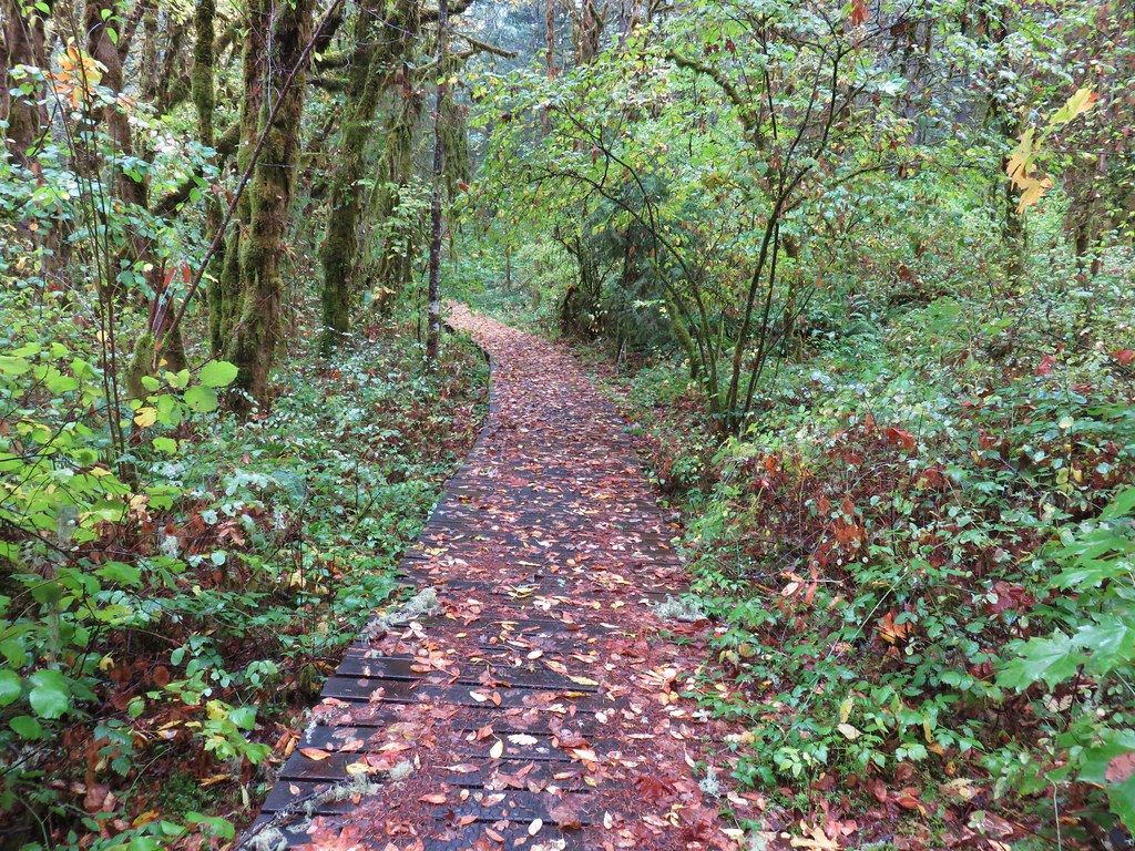Woodpecker Loop Trail