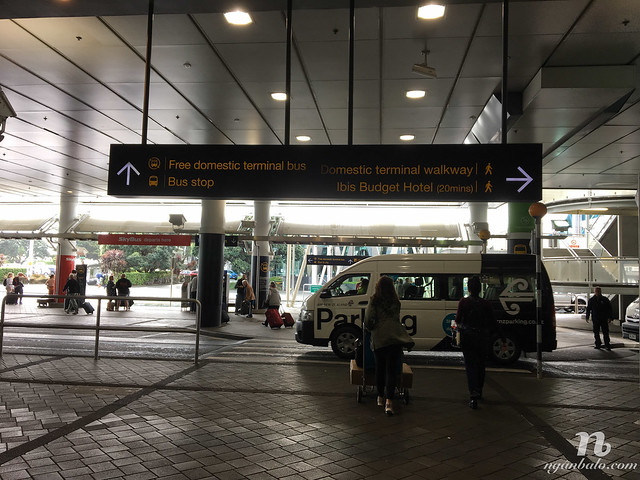 Cách đi xe buýt từ sân bay quốc tế đến nội địa ở Auckland, New Zealand