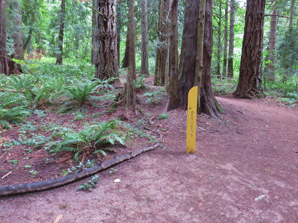 Cedar Grove Trail sign