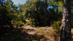 Typical hiking terrain in Raches, Ikaria