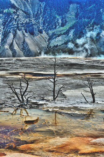 eechillington viewnx2 corelpaintshoppro yellowstone mammothhotsprings nikond90 nature impressionistic water trees patterns