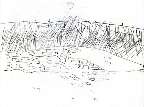 pencil sketch of driftwood on the beach