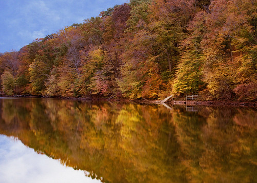 browncountystatepark indiana oglelake statepark hiking hike autumn fall golden reflections nikon d750