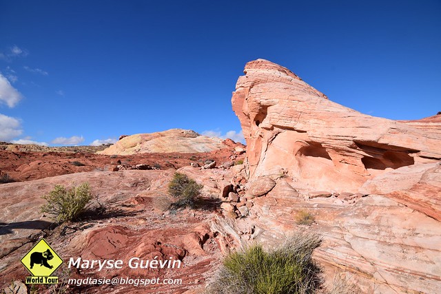 Valley of Fire State park Nevada USA