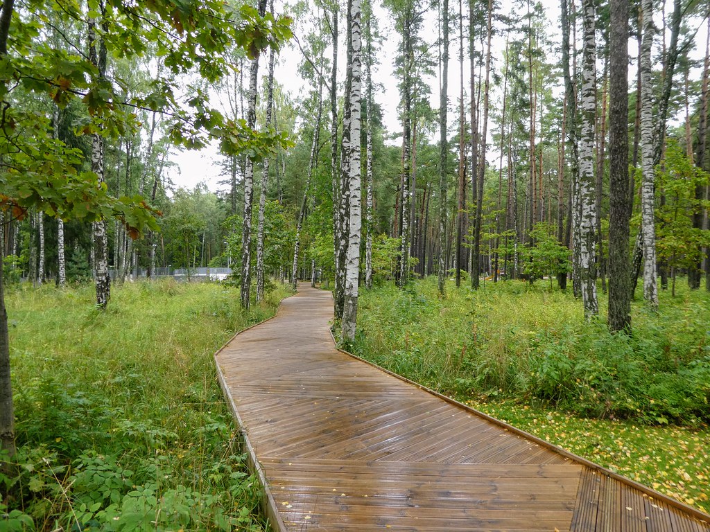 Dzintari Forest Park, Latvia