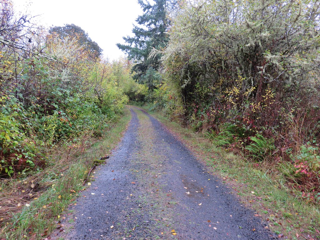 Cabell Marsh Trail
