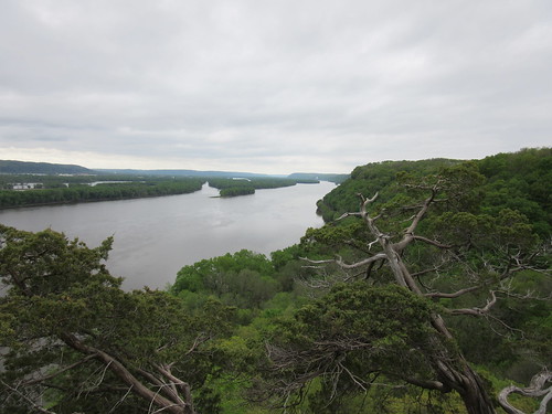 mississippiriver cloudy bluffs trees green overlook nationalpark nationalmonument iowa midwest effigymoundsnationalmonument river water clouds branch tree