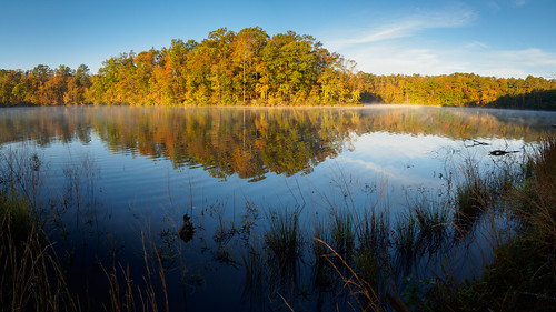 grass usa georgia landscape calm nature water leaf ©edrosack lake clear tree cloud sky indianspringsstatepark reed forest fallfoliage reflection cloudy leaves flovilla