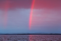 Twilight rainbow, Lake Brunner