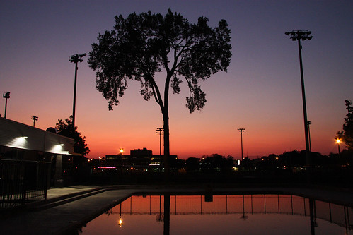 ahuntsic sunset tree pool water reflection evening