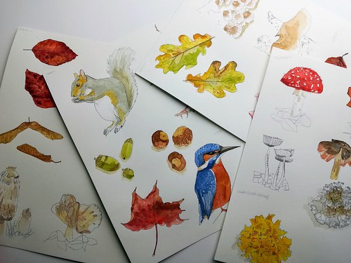 A selection of my recent nature journal pages. Artist Angela Hennessy