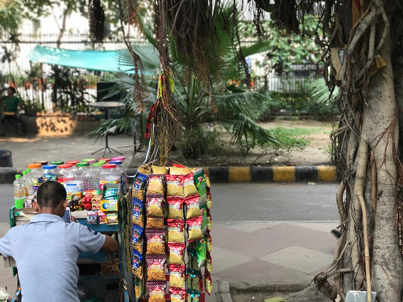 City Nature - The Tree People of KG Marg, Central Delhi