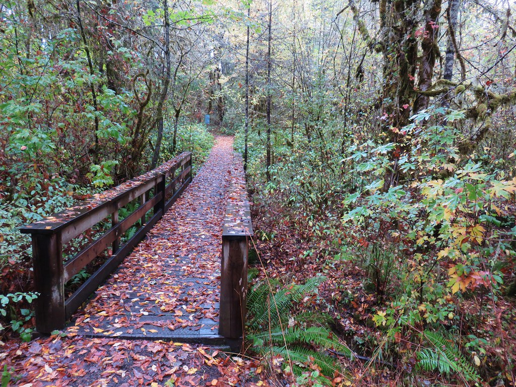 Woodpecker Loop Trail