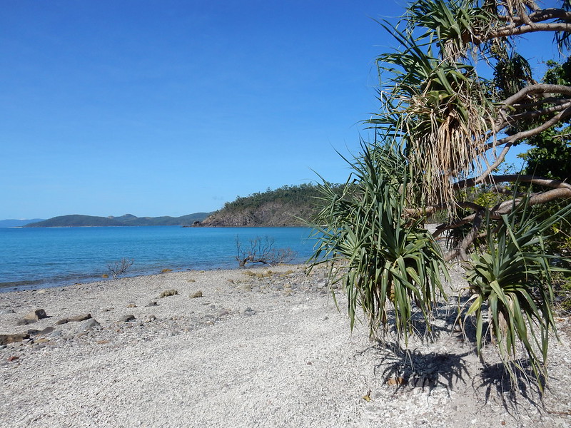 Airlie Beach y las paradisíacas Whitsunday Islands - AUSTRALIA POR LIBRE: EL PAÍS DEL FIN DEL MUNDO (7)