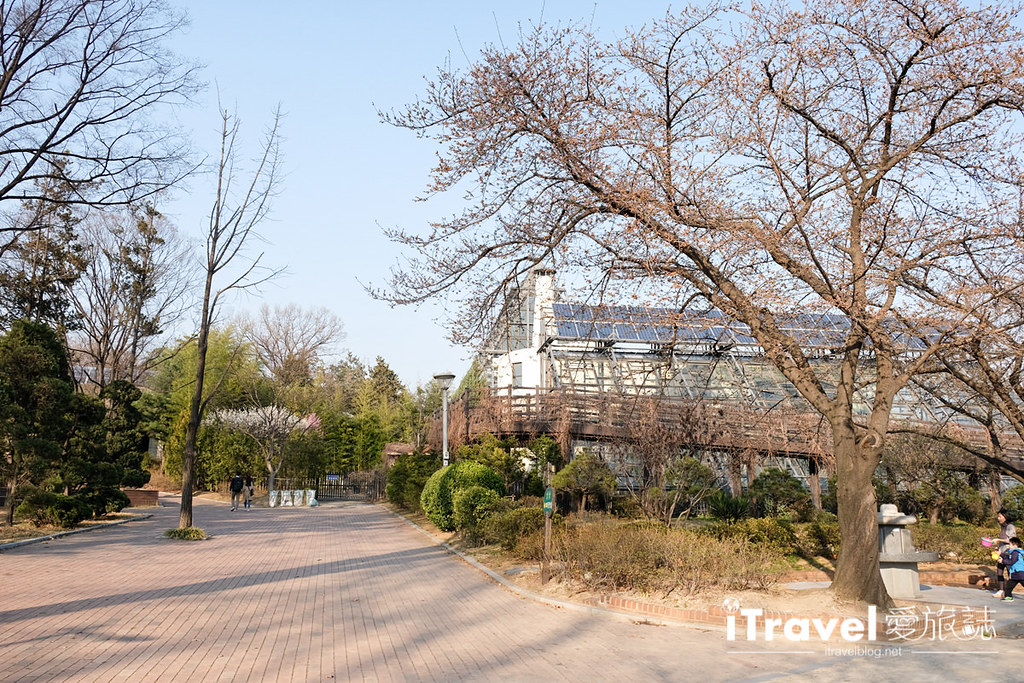 首尔亲子景点 儿童大公园Seoul Children's Grand Park (19)